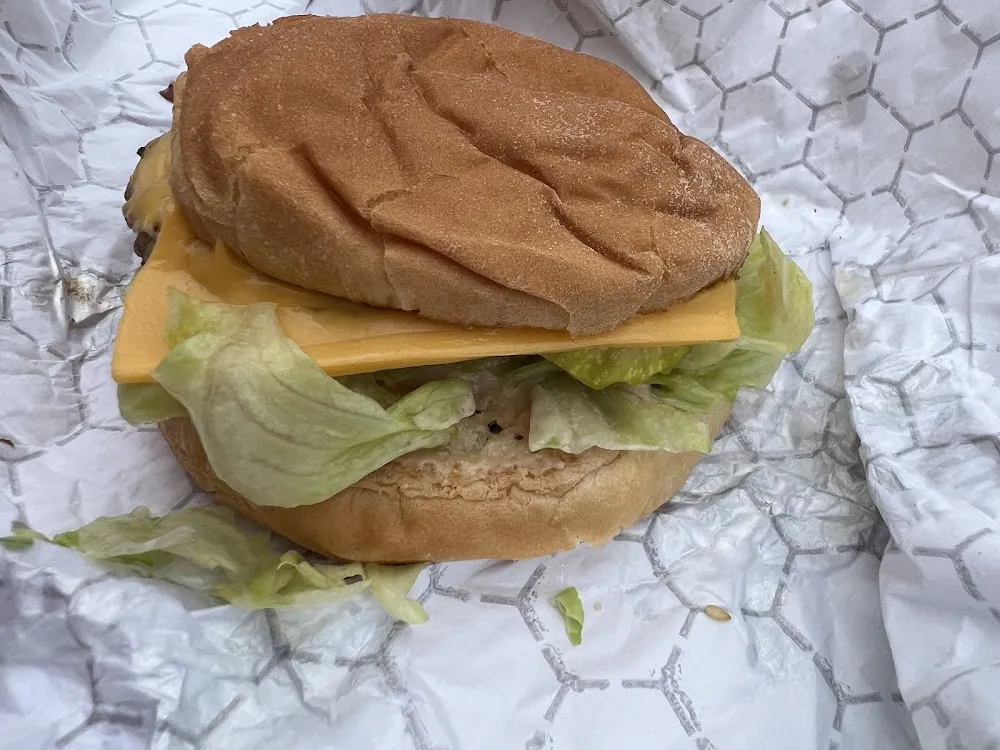 Small Cheeseburger Special